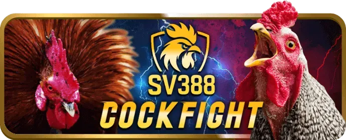 Tin tức thể thao 88hello88